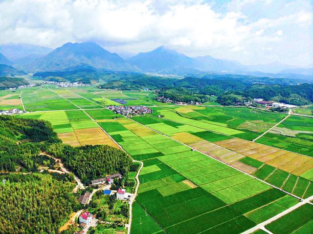 风雨改革路扬帆再起航,真实经典策略设计_VR型43.237