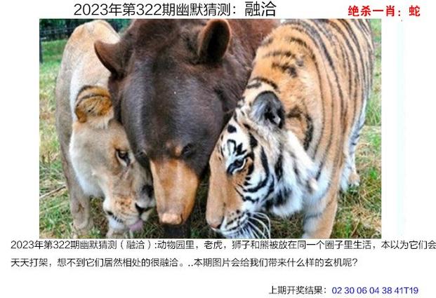 2023澳门正版资料全年免费下载,绝对策略计划研究_社交版40.12.0